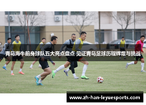 青岛海牛前身球队五大亮点盘点 见证青岛足球历程辉煌与挑战 青岛海牛前身球队五大亮点盘点 见证青岛足球历程辉煌与挑战