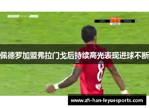 佩德罗加盟弗拉门戈后持续高光表现进球不断 佩德罗加盟弗拉门戈后持续高光表现进球不断
