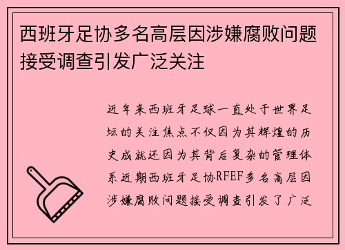 西班牙足协多名高层因涉嫌腐败问题接受调查引发广泛关注 西班牙足协多名高层因涉嫌腐败问题接受调查引发广泛关注
