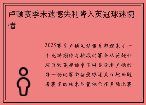 卢顿赛季末遗憾失利降入英冠球迷惋惜 卢顿赛季末遗憾失利降入英冠球迷惋惜